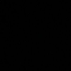 Meet your Posher, Calista